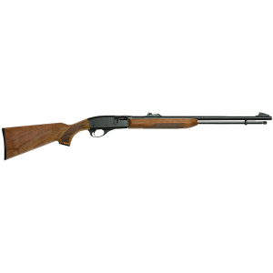 REM R25594 552 BDL 22 RF AUTO 21