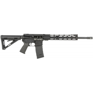 Diamondback DB1719B001 DB15 300 Blackout 16 in 30+1 Black Hard Coat Anodized Adjustable Magpul MOE Carbine Stock Black Magpul MOE Grip