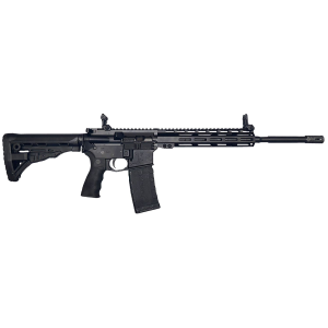 ET Arms Inc ETAGA1556ML10 223 Rem/5.56 NATO