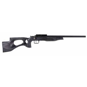 Keystone Sporting Arms Crickett EX Rifle | KSA2544 - Keystone Sporting Arms