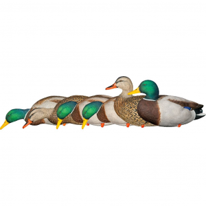 AvianX AXP Fusion Duck Decoys Mallards 6 pk AVX-AVX8061