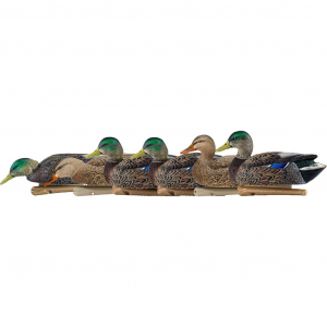 AvianX Top Flight Duck Decoys Early Season Mallards 6 pk AVX-AVX8062