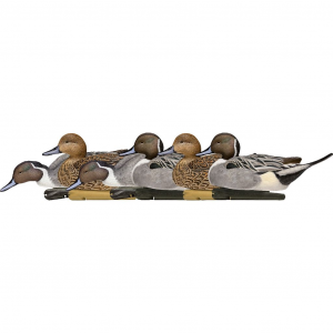 AvianX Top Flight Duck Decoys Pintail 6 pk AVX-AVX8082