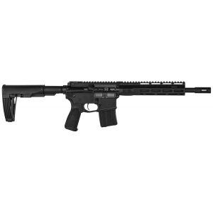 Wilson Combat TRPEP556BL Protector Elite Pistol 223 Rem,5.56 NATO 11.30 in 20+1 Black Hard Coat Anodized, No Brace, BCM Starburst Gunfighter Grip