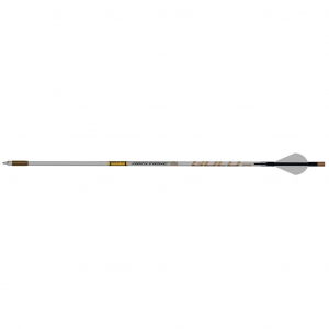 Gold Tip AirStrike Arrows 250 Raptor Vanes 6 pk AS250A26