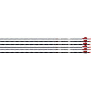 Easton Arrow Fmj 5Mm 300 W/ 2 in Bully Vanes 6-Pack Autumn Org 330473