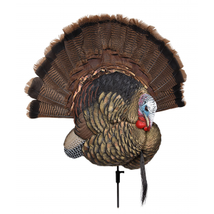 Avian X AVXAVX8021 Trophy Tom Turkey Species Multi-Color