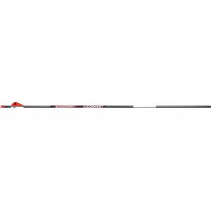 BloodSport Judgement Arrows 300 2 in Vanes 6 pk BLS-PSB130106