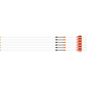 Easton Arrow 6.5Mm Whiteout 340 W/2 in Bully Vanes 6-Pack 729868