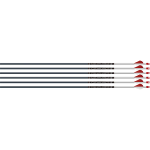 Easton Arrow Fmj 6Mm 320 W/ 2 in Blazer Vanes 6-Pack 826341