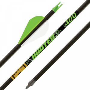 Gold Tip Arrow Hunter Xt 340 2 in Raptor Vanes 1/2Doz HXT340A26