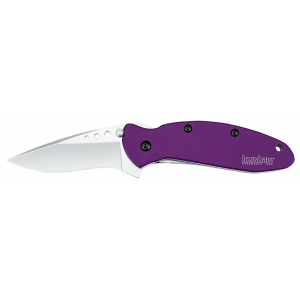 Kershaw 1620PUR Scallion 2.40 in Folding Drop Point Plain Bead Blasted 420HC SS Blade Purple Anodized Aluminum Handle Includes Pocket Clip