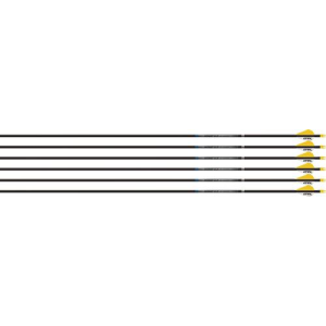 Easton Arrow Sonic 6.0 300 W/2 in Bully Vanes 6-Pack 430627