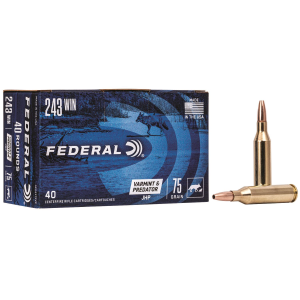 Federal AE24375VP American Eagle Varmint & Predator 243 Win 75 gr Jacket Hollow Point 40 Per Box/ 5 Cs