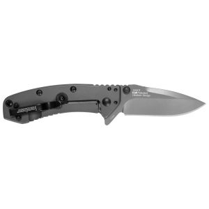 Kershaw 1555TIX Cryo 2.75 in Folding Drop Point Plain Gray TiN 8Cr13MoV SS Blade Gray PVD Stainless Steel Handle Clamshell Packaging