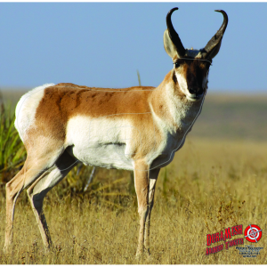 DuraMesh Archery Target Antelope 25 in x 32 in DM201 - Duramesh