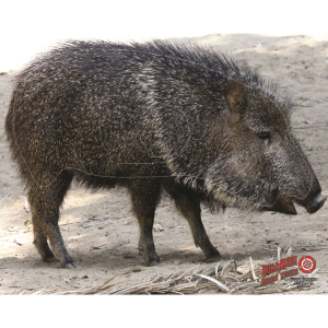 DuraMesh Archery Target Javelina 25 in x 32 in DM213
