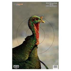 Birchwood Casey 35403 Pregame Turkey Paper Hanging Universal 12 in x 18 in Multi-Color 8 Per Pkg
