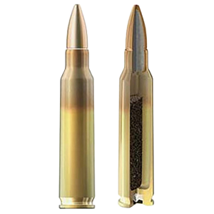 Radikal 556X45 Precision 5.56x45mm NATO 2000rds - Radikal