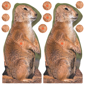 Birchwood Casey 34786 Shoot-N-C Reactive Target Self-Adhesive Paper Brown 8 in Prairie Chuck Includes Pasters 12 PK