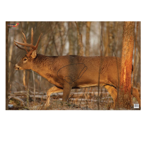 Birchwood Casey 37481 EZE-Scorer Whitetail Deer Paper Hanging 23 in x 35 in Multi-Color 2 Per Pkg