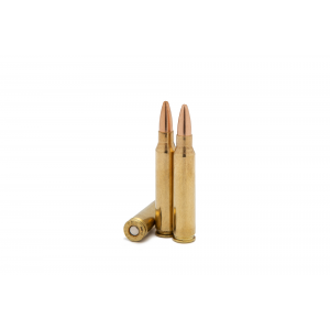 ssic Match  5.56mm  55GR FMJ Ammo