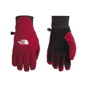 Women's The North Face Shelbe Raschel Flash Dry Etip Gloves Large Beetroot