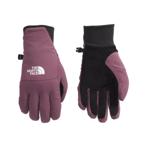 Women's The North Face Shelbe Raschel Flash Dry Etip Gloves Small Midnight Mauve