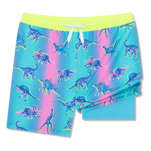 Boys' Chubbies Magic Lined Classic Swim Trunks XSmall The Dino Delights