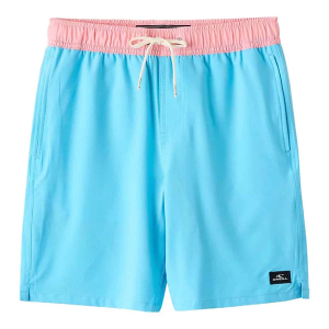 Boys' O'Neill Hermosa Light Lined Volley 16" Swim Boardshorts Medium Aquarius