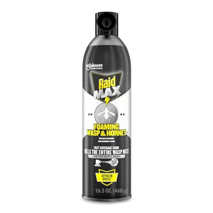 Raid Max Foaming Hornet & Wasp Spray - 16.5 oz
