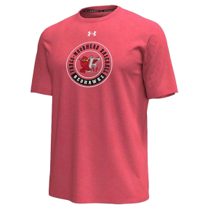 Under Armour Fargo-Moorhead RedHawks Icon Circle T-Shirt