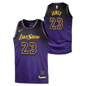 Kids' Los Angeles Lakers LeBron James #23 Nike 2024 City Edition Jersey Small Purple