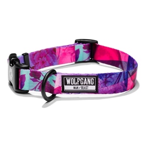 Wolfgang Man and Beast Dog Collar