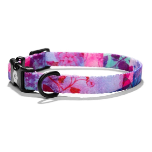 Wolfgang Man and Beast Dog Collar