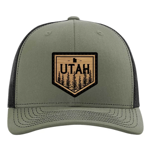 Men's Park Bench Apparel Utah Tree Snapback Hat One Size Green Black
