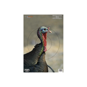 Birchwood Casey Dirty Bird PreGame Turkey Target 12"x18" 8 Pack