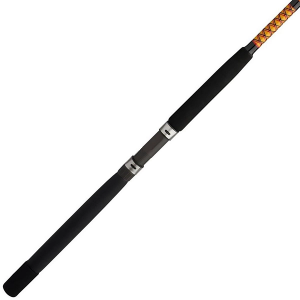 Ugly Stik Bigwater Conventional Rod