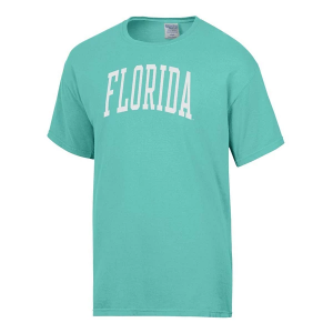 Florida Gators Gear For Sports Florida Inspiration ComfortWash T-Shirt Medium Teal