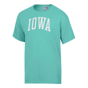 Iowa Hawkeyes Gear For Sports Iowa Inspiration ComfortWash T-Shirt Medium Teal