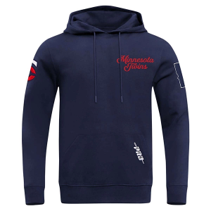 Minnesota Twins Pro Standard Souvenir Hoodie Large Black