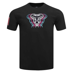Arizona Diamondbacks Echo Logo T-Shirt Small Black