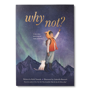 Compendium Why Not? Book