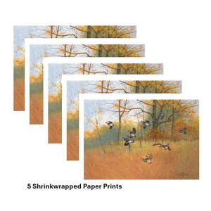 Wild Wings Covey Burst by Greg Messier- 5 Shrinkwrapped Paper Prints