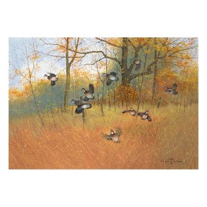 Wild Wings Covey Burst by Greg Messier - Paper Print Only