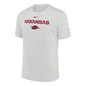 Arkansas Razorbacks Nike Sideline Velocity T-Shirt Small Photon