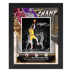 Fanatics Authentic Los Angeles Lakers LeBron James 16" x 20" NBA All-Time Scoring Record Photo Collage