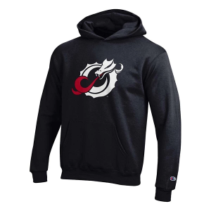 Minnesota State Dragons Champion Kids Hoodie Medium Black