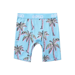 Boys' PSD Spring Break Boxer Briefs Underwear XLarge Sky Blue