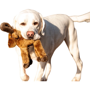 Premium Plush Major Moose Dog Toy